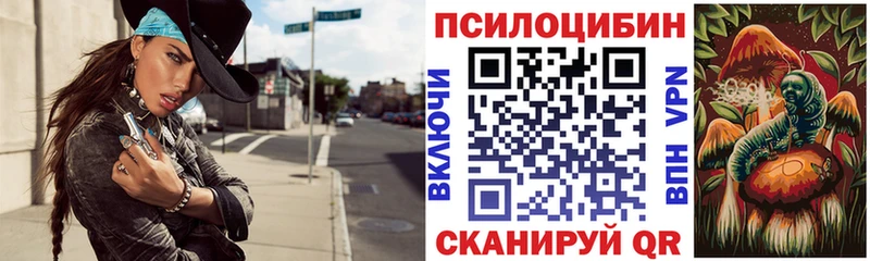 Псилоцибиновые грибы мухоморы  цена наркотик  Краснослободск 